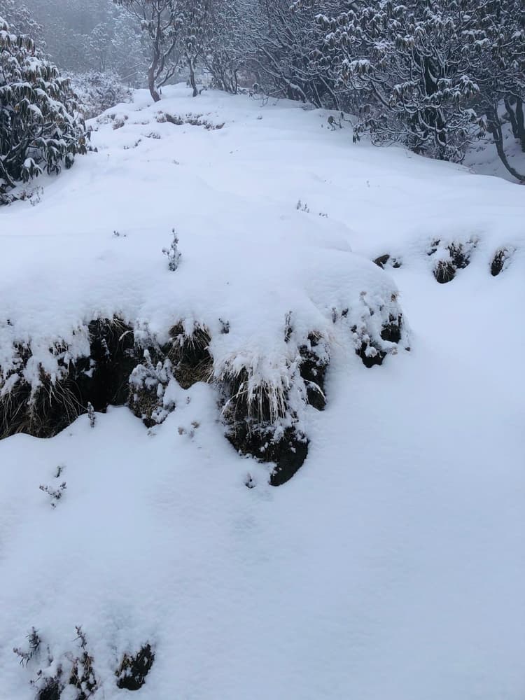 Trekking Center